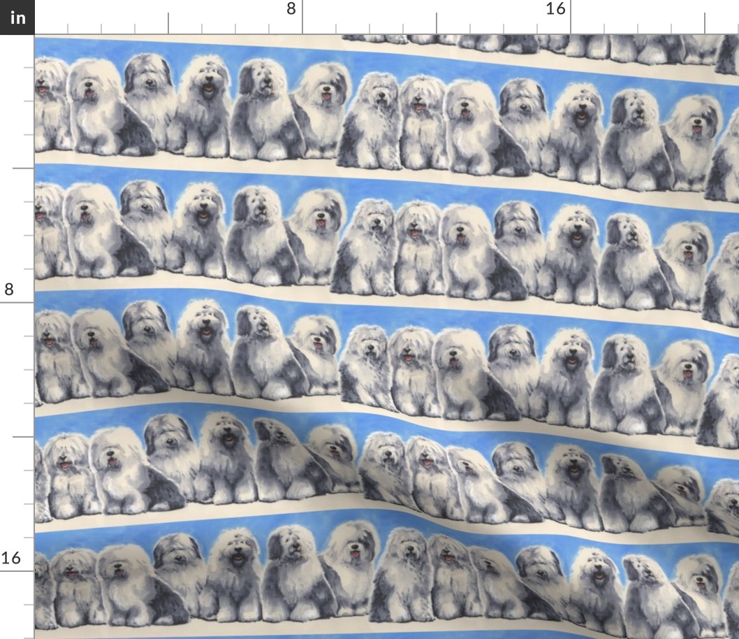 Old English Sheepdogs Border