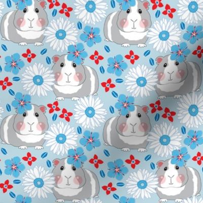medium guinea pigs with red white and blue flowers