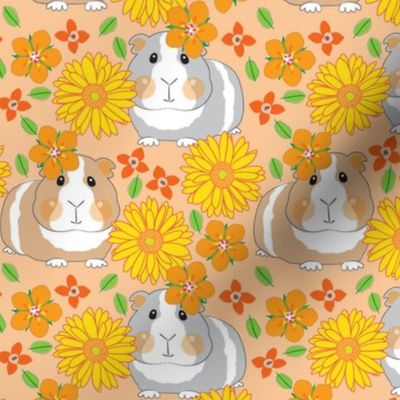 large guinea pigs with gerber daisies on peach