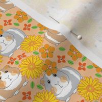 small guinea pigs with gerber daisies on peach