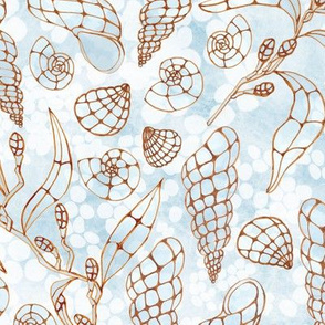 Seashells and seaweed outlines on light blue and white