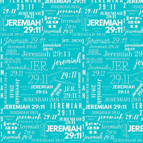 Teal and White Jeremiah 2911 (2021)