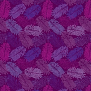 Jacaranda-Purple-Version