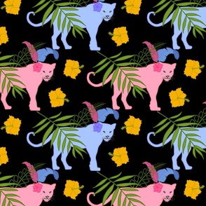 Cyrano de Bergercat (pink & blue panthers) - black, medium to large 