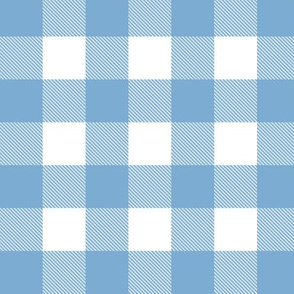Tartan, Small Square, blue and  white, Small scale