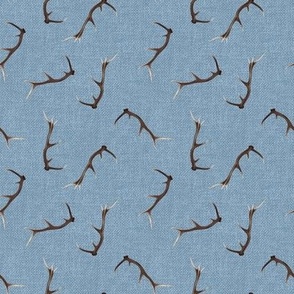 Small Antlers on light blue