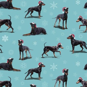 The Christmas Manchester Terrier