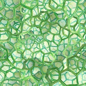 Chlorophyll Cellular Watercolour Medium 