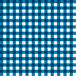 Electric Turquoise Gingham