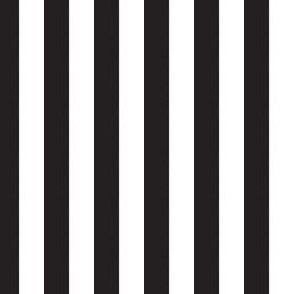 Black and White Stripe - Half Inch Wide