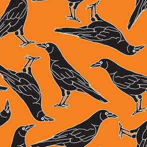 jumbo black crows on orange