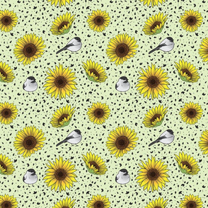 Chickadee Sunflower