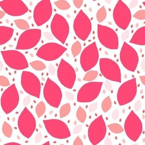 pink petals 