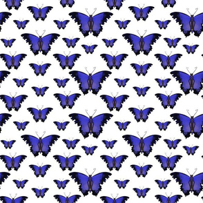 Giant Purple Butterflies