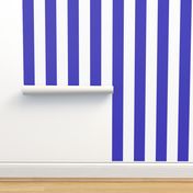 Skinny Stripes light - Indigo Nevermore