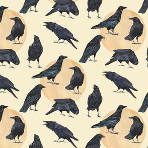 Ravens MEDIUM