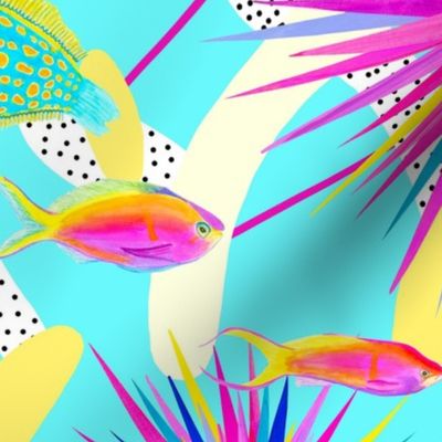 Pizazz | colourful fish