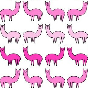 Pink Llamas