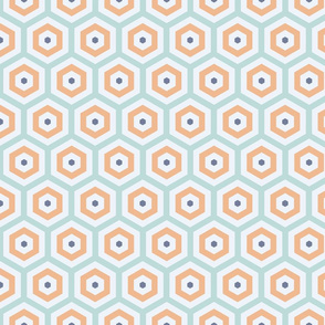 Geometric Pattern: Hexagon Hive: Gulfstream