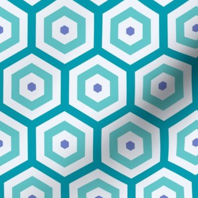 Geometric Pattern: Hexagon Hive: Pacifica