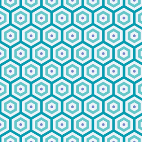 Geometric Pattern: Hexagon Hive: Pacifica