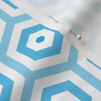Geometric Pattern: Hexagon Hive: Positive Light Blue