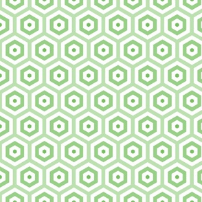 Geometric Pattern: Hexagon Hive: Positive Light Green