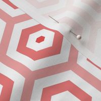 Geometric Pattern: Hexagon Hive: Positive Light Red