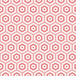 Geometric Pattern: Hexagon Hive: Positive Light Red