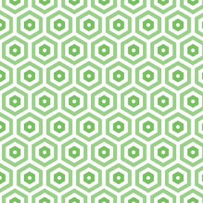Geometric Pattern: Hexagon Hive: Negative Light Green