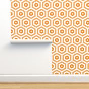 Geometric Pattern: Hexagon Hive: Negative Light Orange