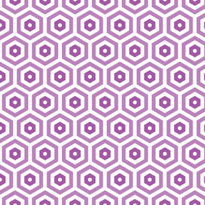Geometric Pattern: Hexagon Hive: Negative Light Purple