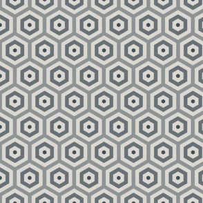 Geometric Pattern: Hexagon Hive: Pebble
