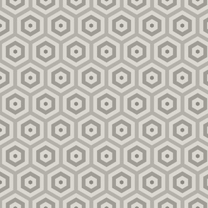 Geometric Pattern: Hexagon Hive: Portland