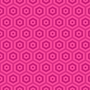 Geometric Pattern: Hexagon Hive: Berry
