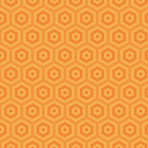Geometric Pattern: Hexagon Hive: Citrus