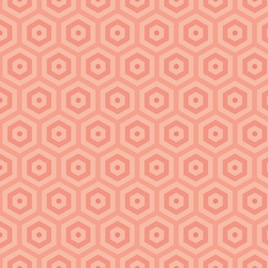 Geometric Pattern: Hexagon Hive: Salmon