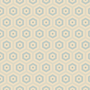 Geometric Pattern: Hexagon Hive: Julio
