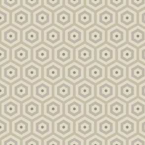 Geometric Pattern: Hexagon Hive: Sherwin