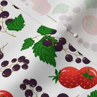 Currants and strawberries