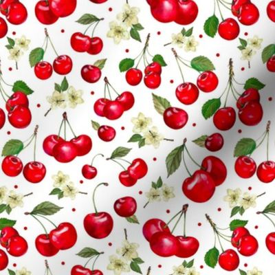 Medium Scale Red Cherries