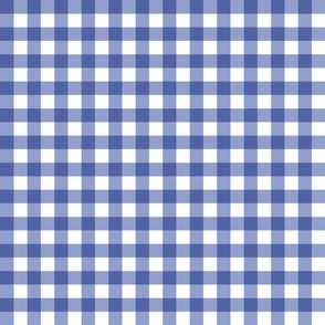 Navy blue gingham