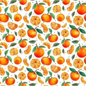 Medium Scale Mandarin Orange Clementines on White