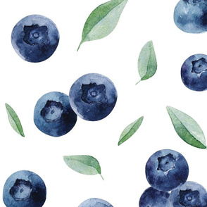 Blueberries//White - XL Scale
