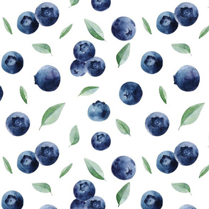 Blueberries//White - Large Scale