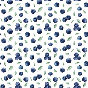 Blueberries//White - Med Scale