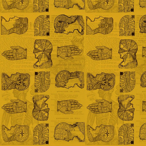 Golden Yellow Phrenology and Palm Reading Vintage Psychiatry Fabric Panel Oddity