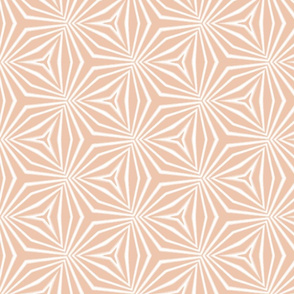 Hexagonal starburst with halftone in orange at 33 percent