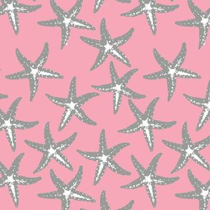 sea star pink grey