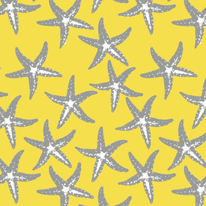 sea star yellow grey